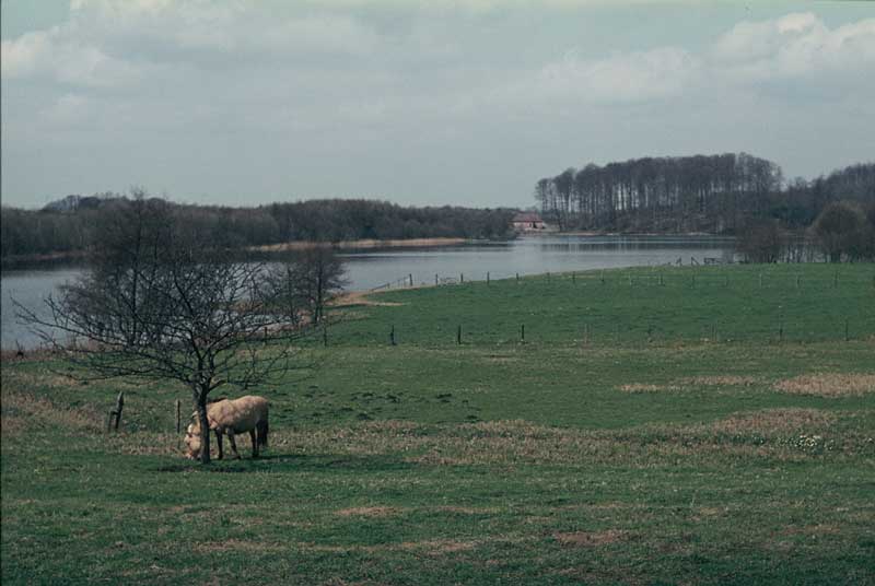 Wielener See 01